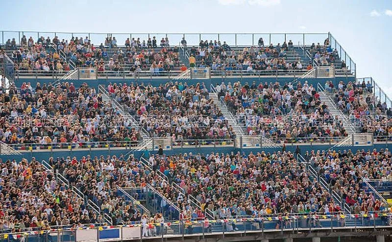 长征娱乐平台挪威主权基金运动的旋律：一场激情与智慧的盛宴——运动会赛事寄语类书籍精选