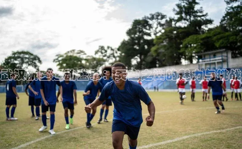 长征注册平台雷柏科技武汉航空运动盛事：天空之翼的魅力与挑战