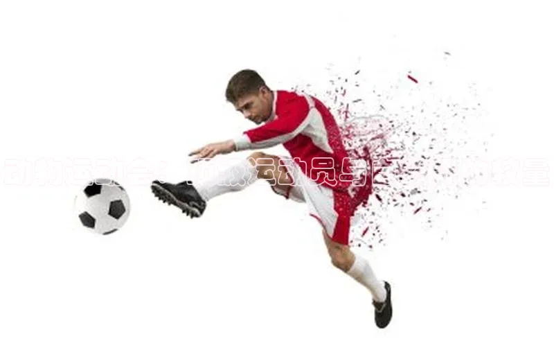 动物运动会：顶级运动员与自然界的较量