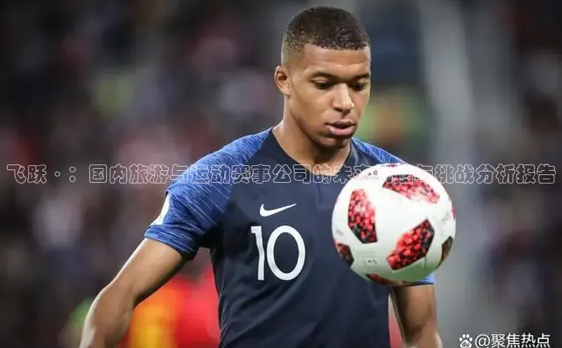 飞跃·：国内旅游与运动赛事公司的未来机遇与挑战分析报告