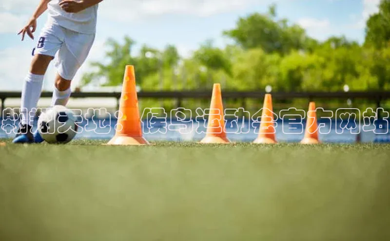 翱翔天地：候鸟运动会官方网站