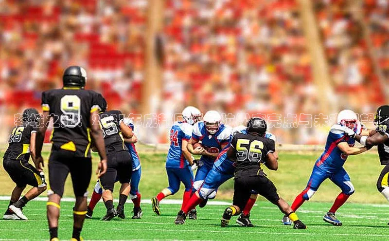 蓉城之光：2023年成都国际马拉松赛亮点与未来展望