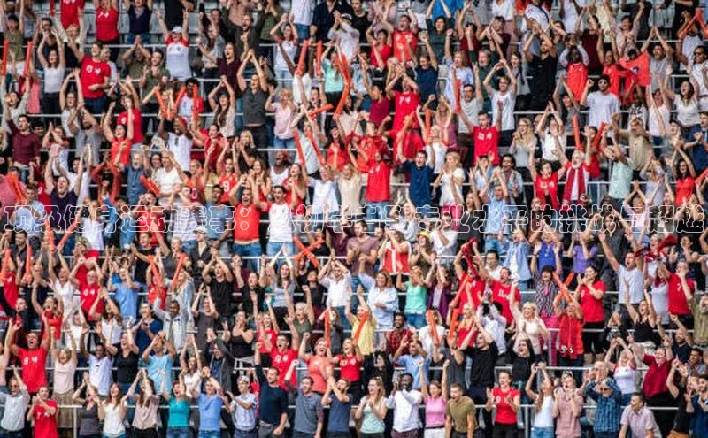 顶级健身运动赛事：从初学者到专业水平的挑战与超越