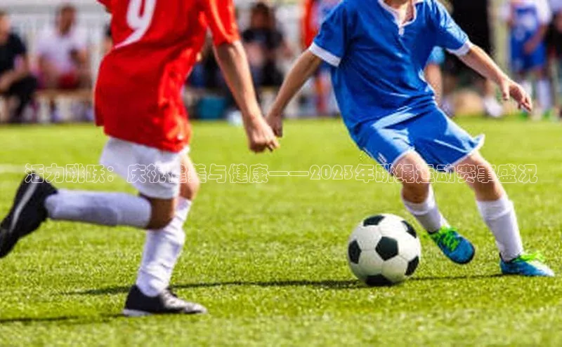 活力跳跃：庆祝健美与健康——2023年跳绳运动赛事盛况