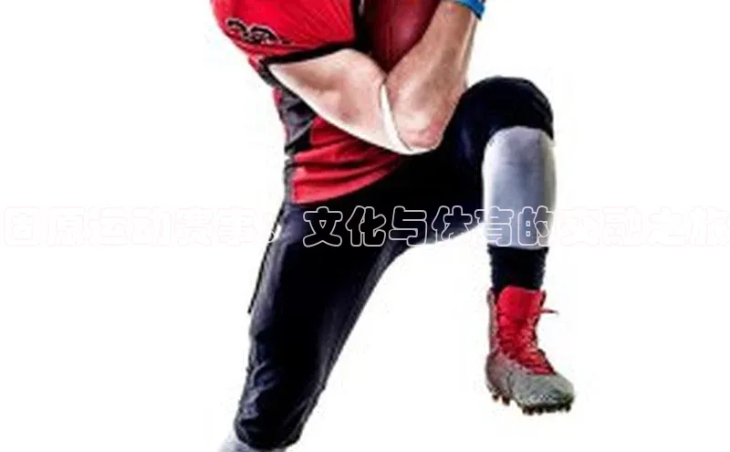 固原运动赛事：文化与体育的交融之旅