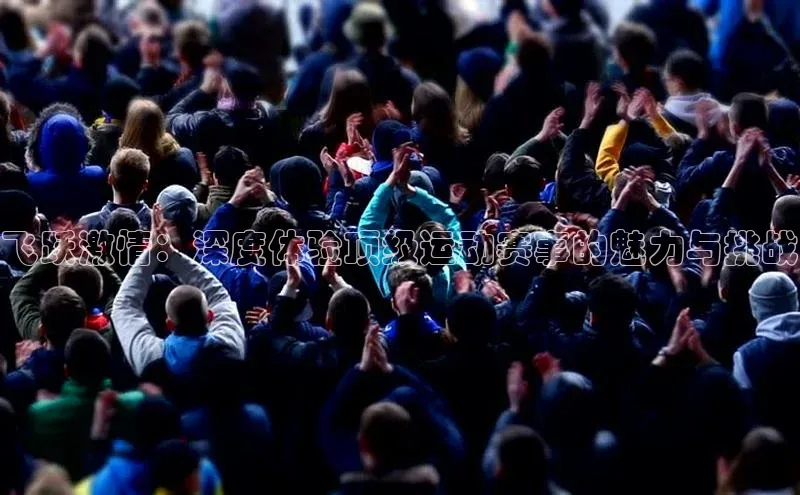 飞跃激情：深度体验顶级运动赛事的魅力与挑战