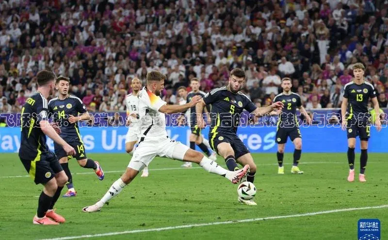 飞跃边缘：高端小众运动赛事背后的独特魅力与竞争策略