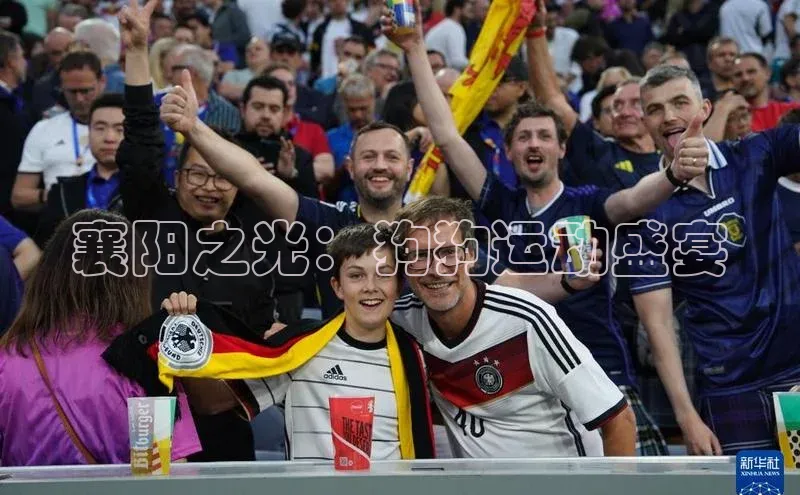 襄阳之光：狗狗运动盛宴