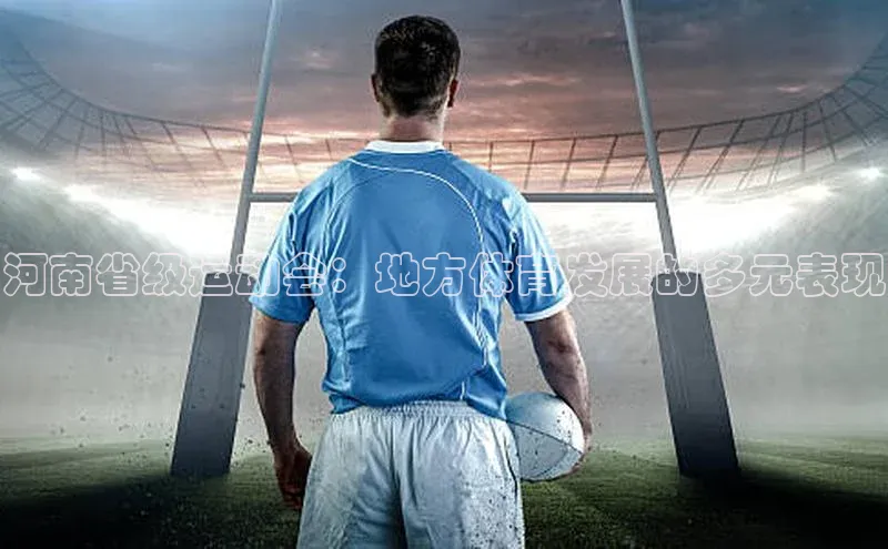 河南省级运动会：地方体育发展的多元表现