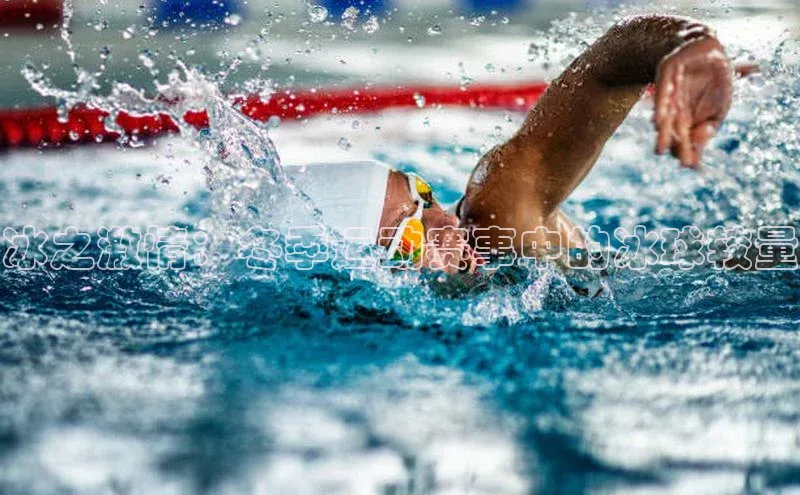 冰之激情：冬季运动赛事中的冰球较量