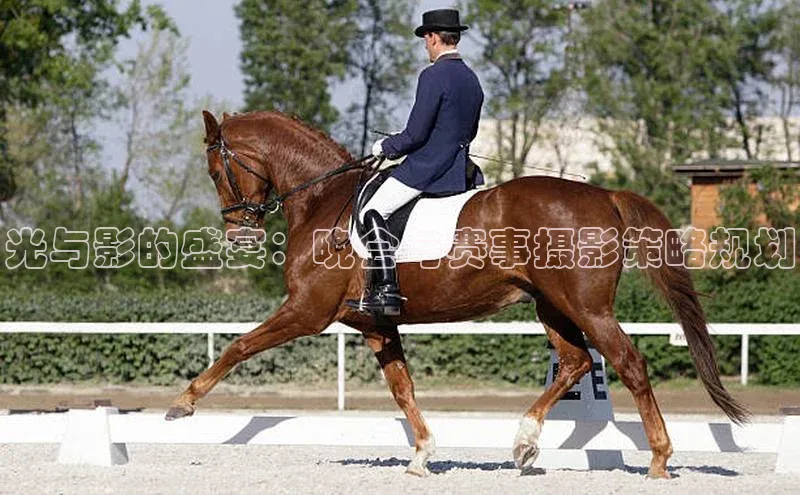 光与影的盛宴：晚会与赛事摄影策略规划
