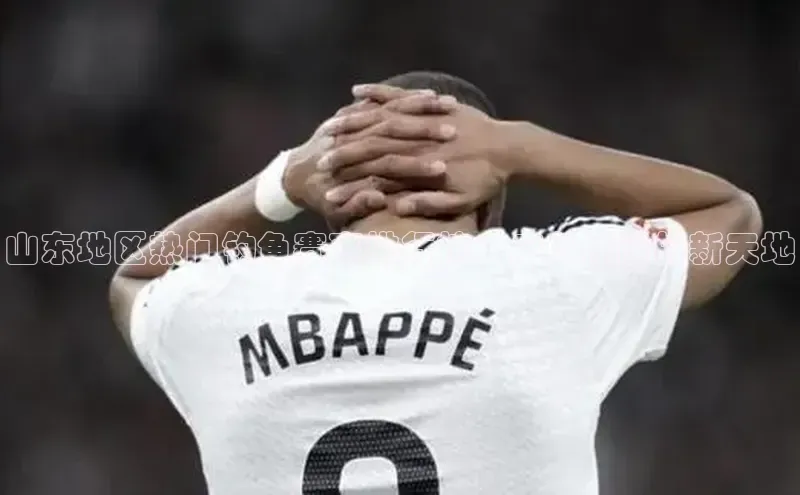 山东地区热门钓鱼赛事排行榜：户外休闲的新天地