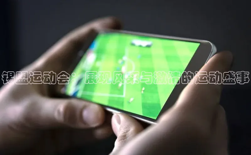 锡盟运动会：展现风采与激情的运动盛事